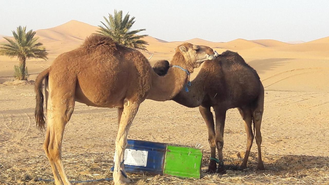 Fabulous Luxury Camp Merzouga Exterior foto